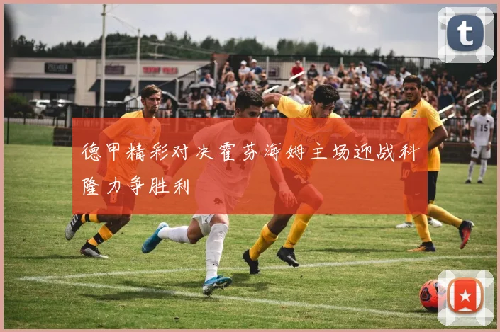 德甲精彩对决霍芬海姆主场迎战科隆力争胜利