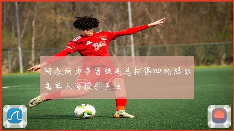 阿森纳力争晋级足总杯第四轮诺尔高单人海报引关注
